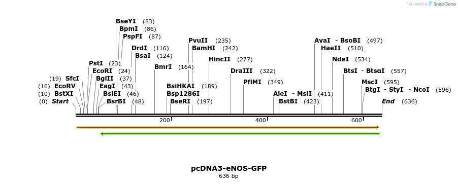 28455_map