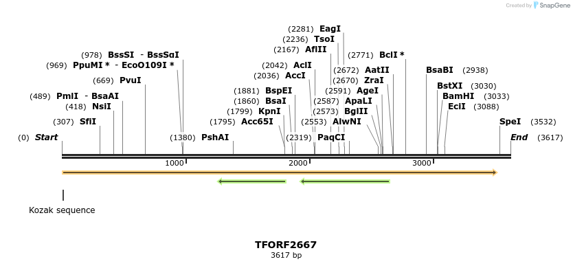 284550_map