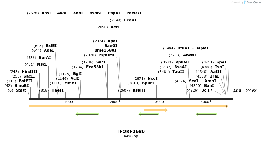 284556_map