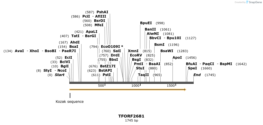 284559_map