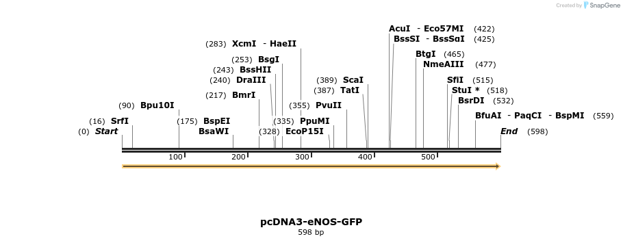 28456_map