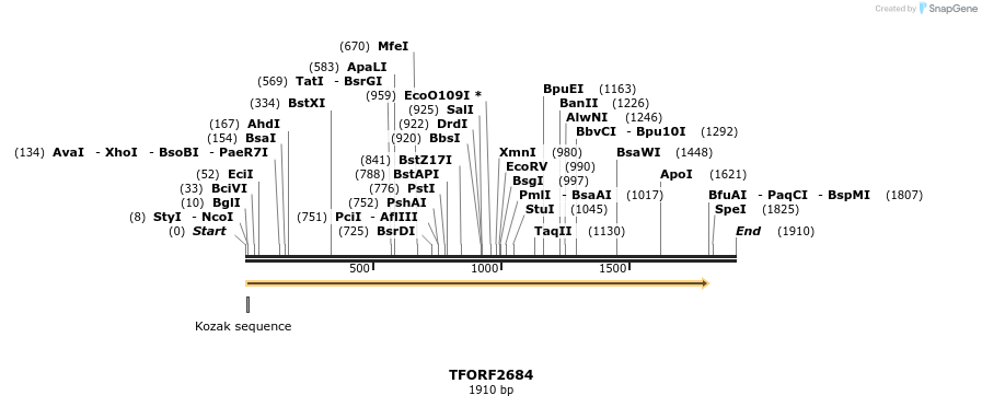 284562_map