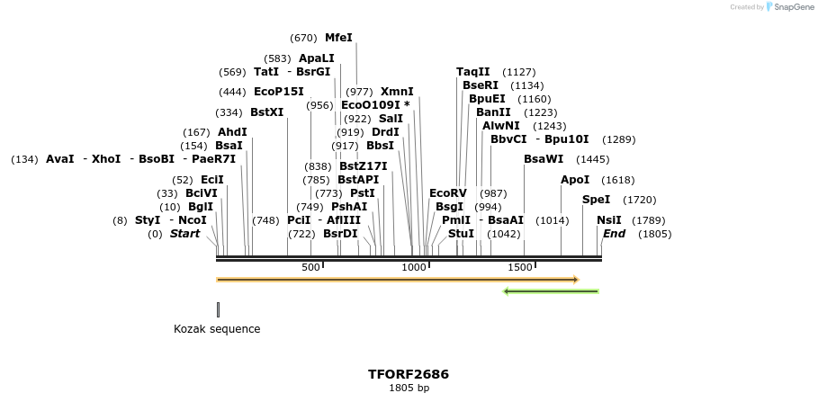 284565_map