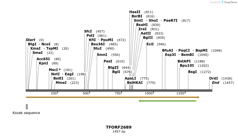 284568_map