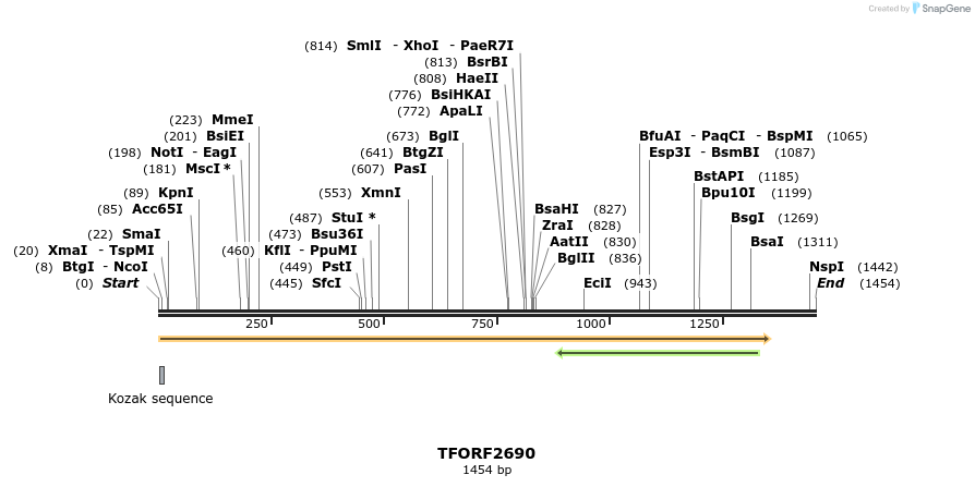 284571_map