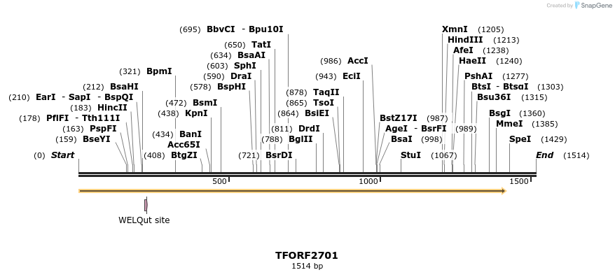 284574_map