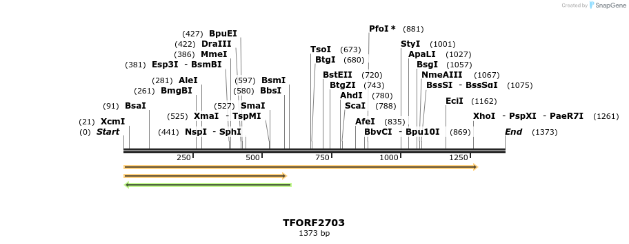 284577_map