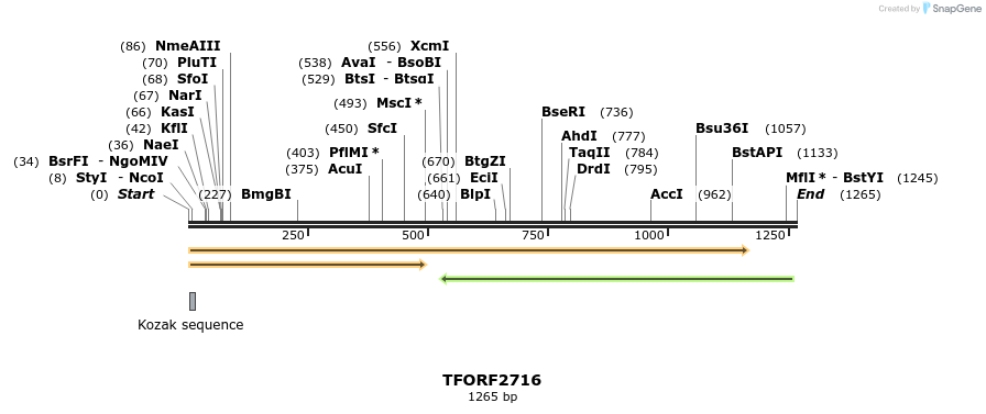 284580_map