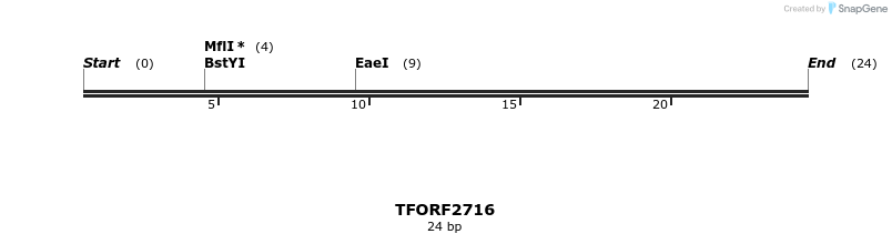 284581_map