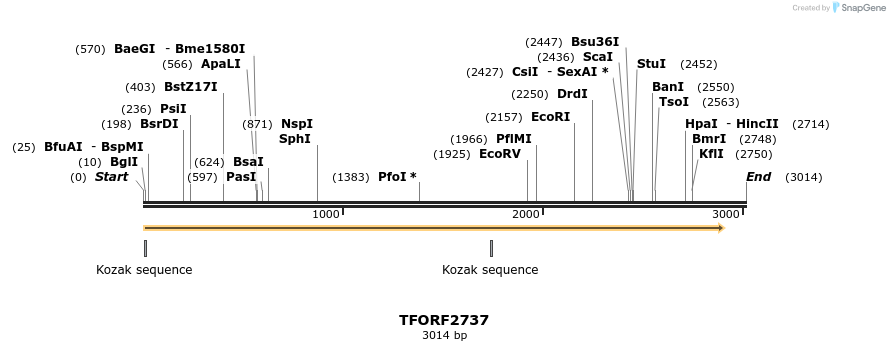 284586_map