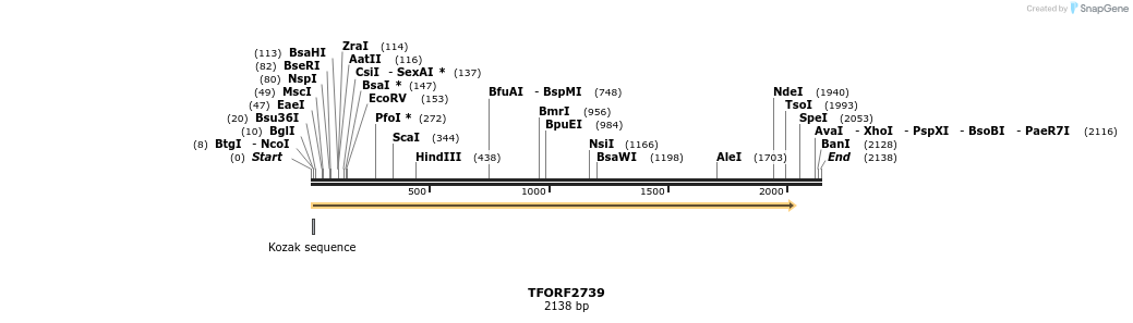 284589_map