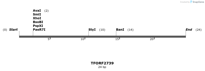 284590_map