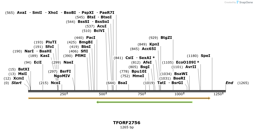 284592_map