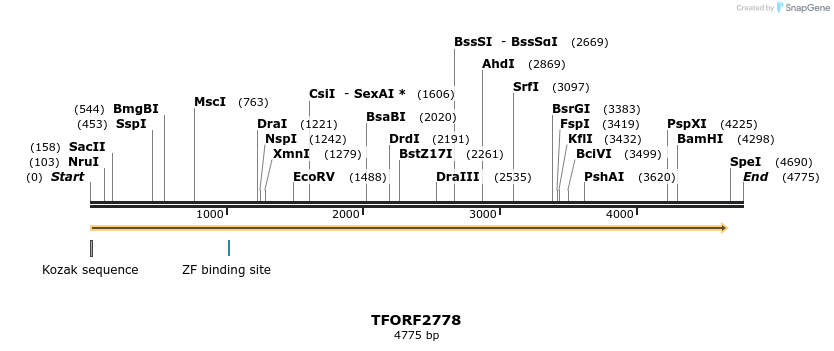 284595_map