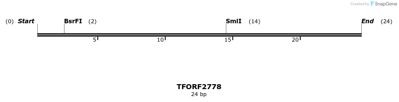284596_map