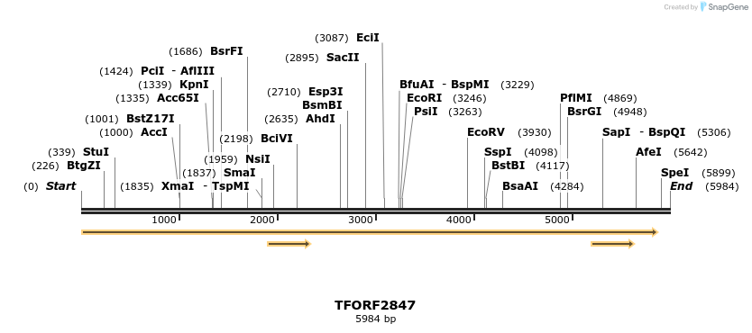 284598_map