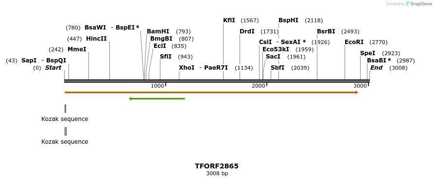284601_map