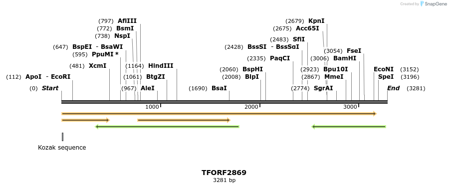 284604_map