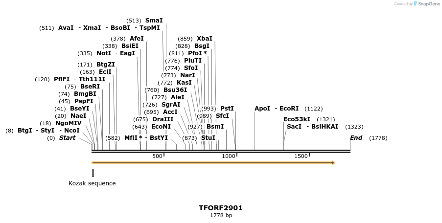 284607_map