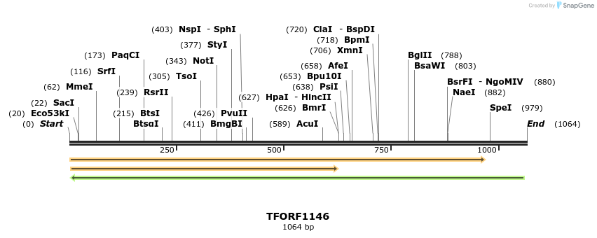 284616_map