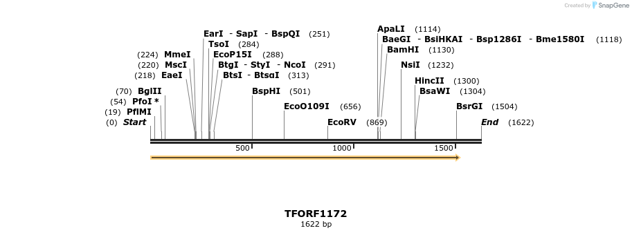 284619_map