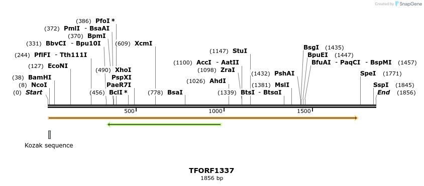 284628_map