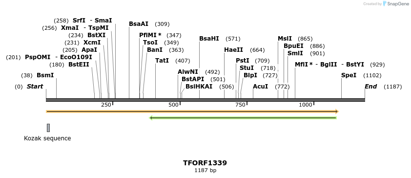 284631_map