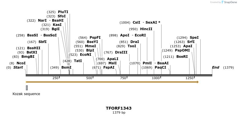 284634_map