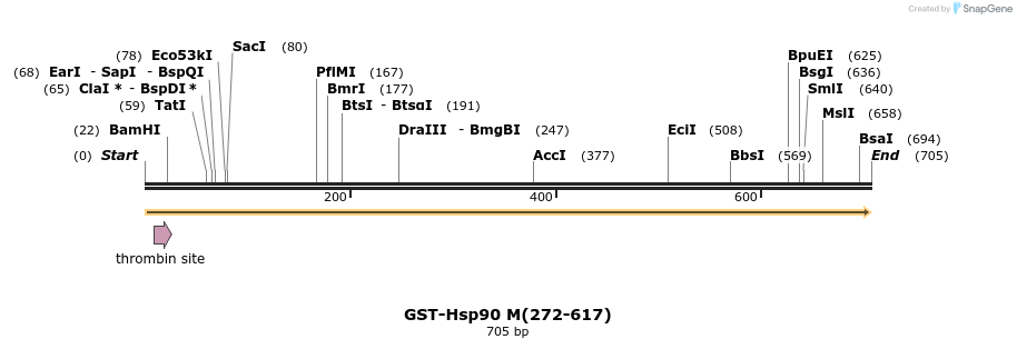 28464_map