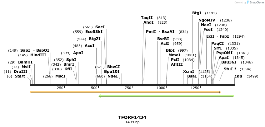 284640_map