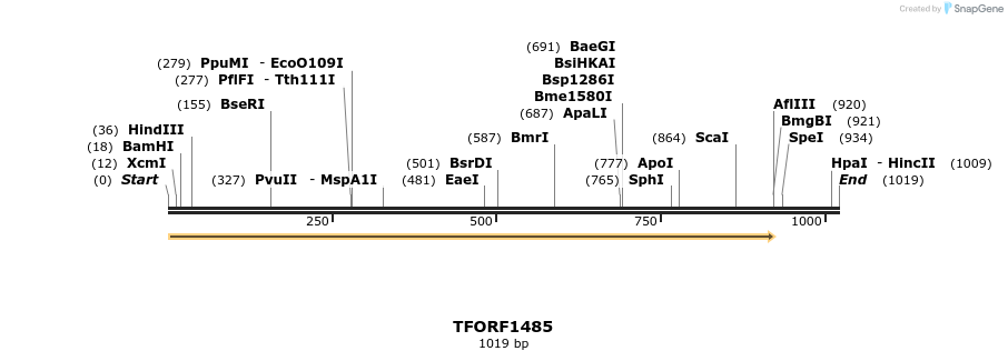 284643_map