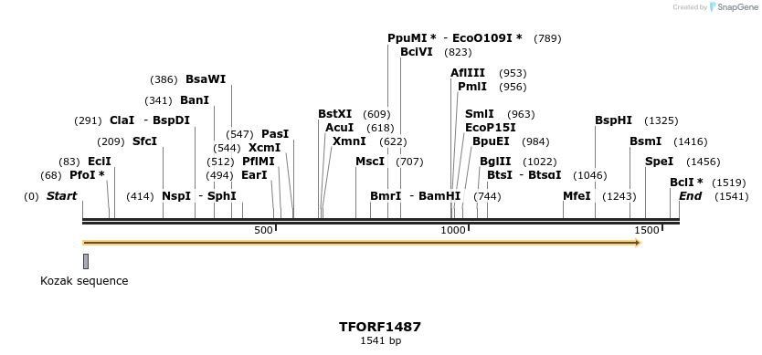 284646_map