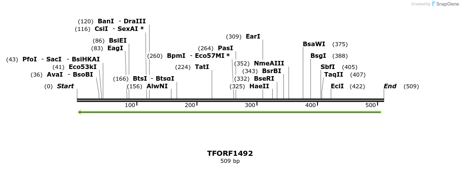 284652_map