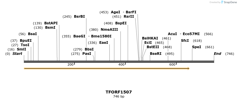 284655_map