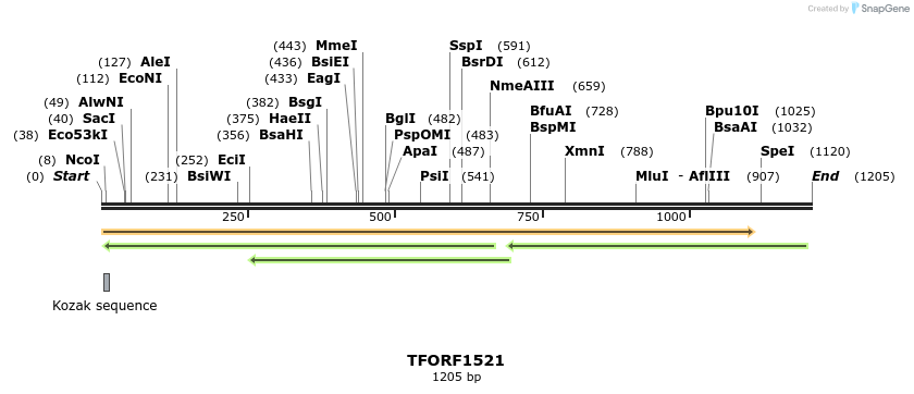 284658_map