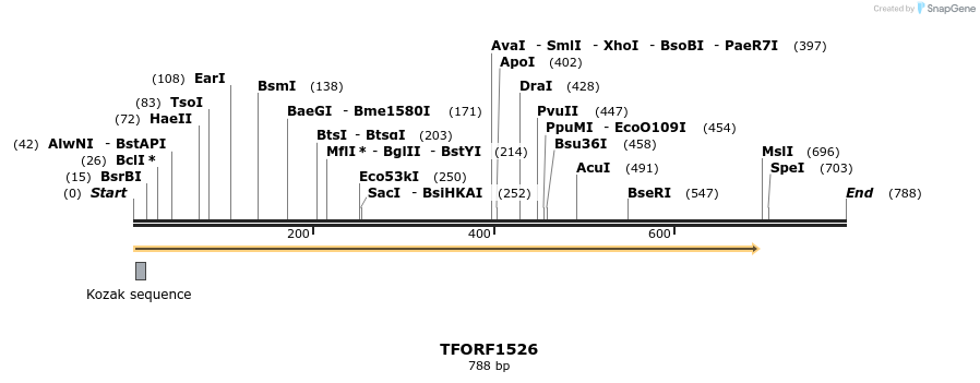 284661_map