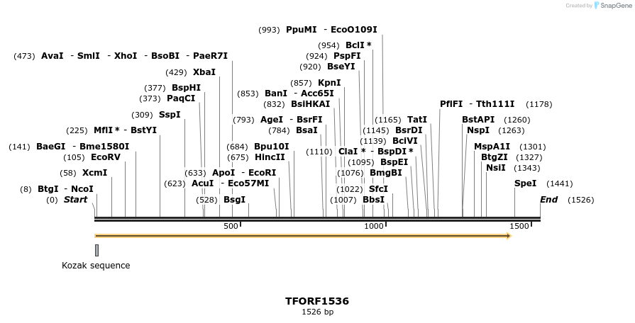 284664_map