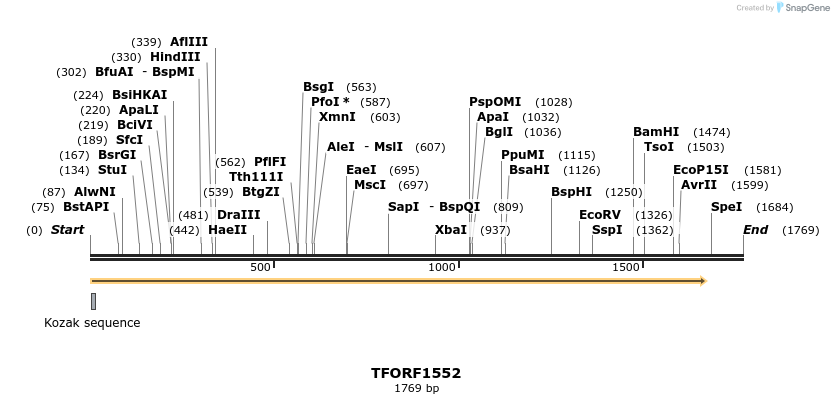 284667_map