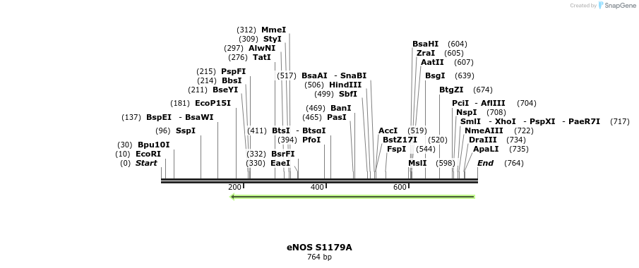 28467_map