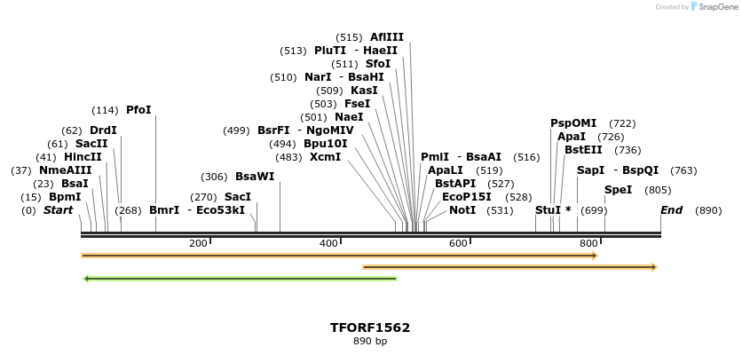 284670_map