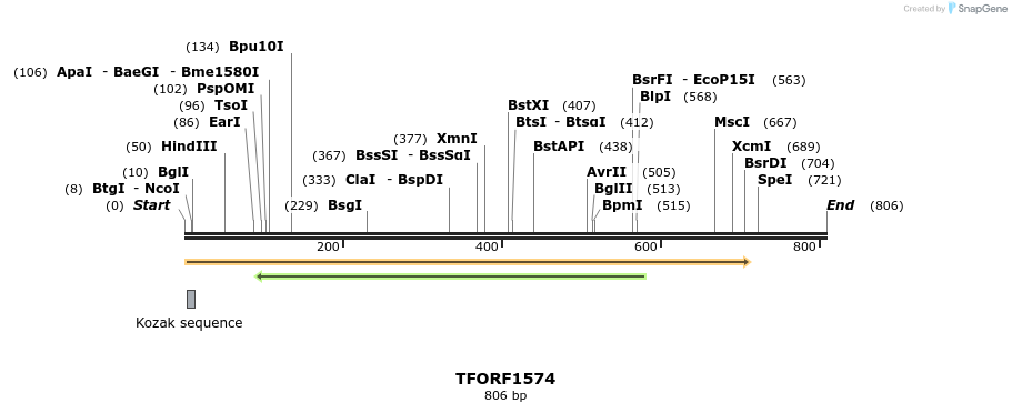 284673_map