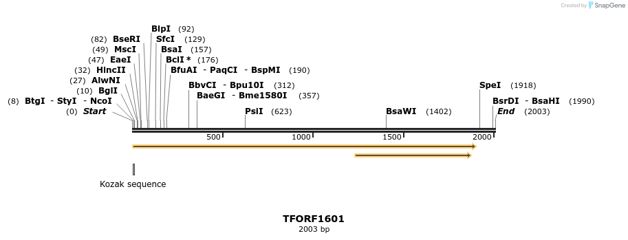 284676_map