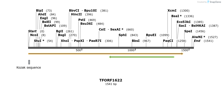 284682_map