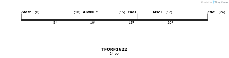 284683_map