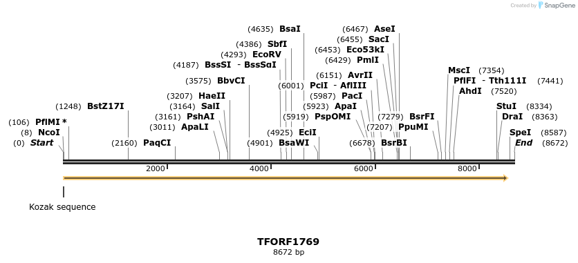 284691_map