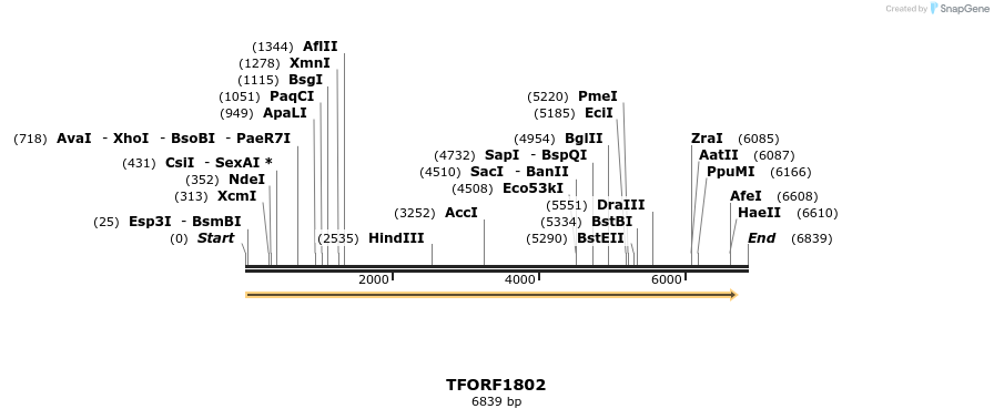 284694_map