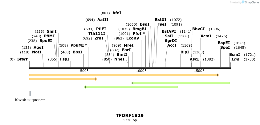 284700_map
