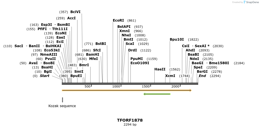 284703_map