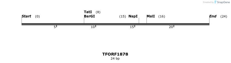 284704_map