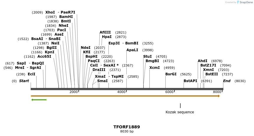 284706_map